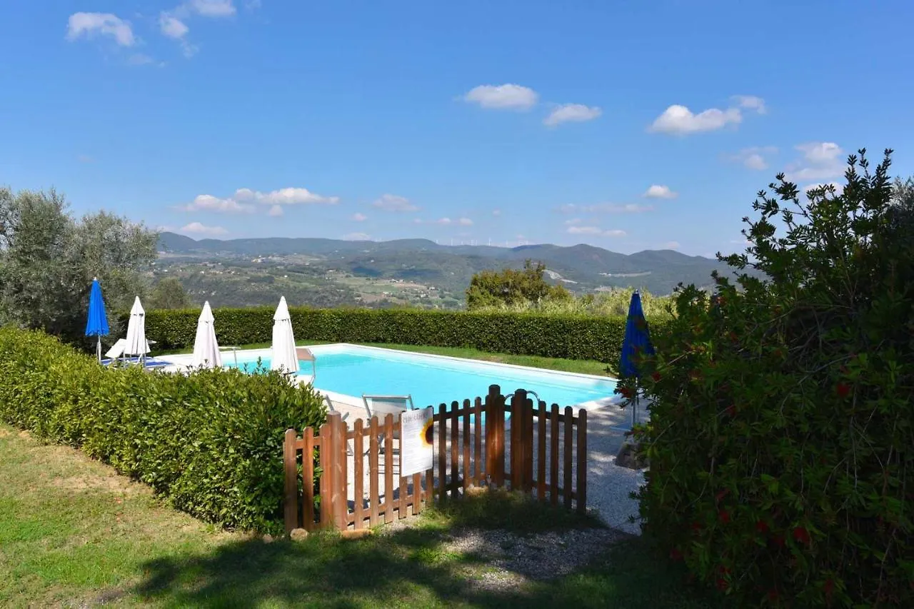 Case&Colline - Girasole Montescudaio Italy